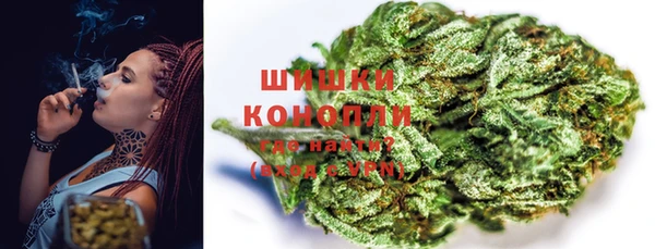 стаф Струнино