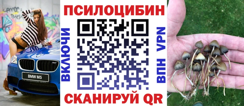 Галлюциногенные грибы мицелий  закладки  Юхнов 